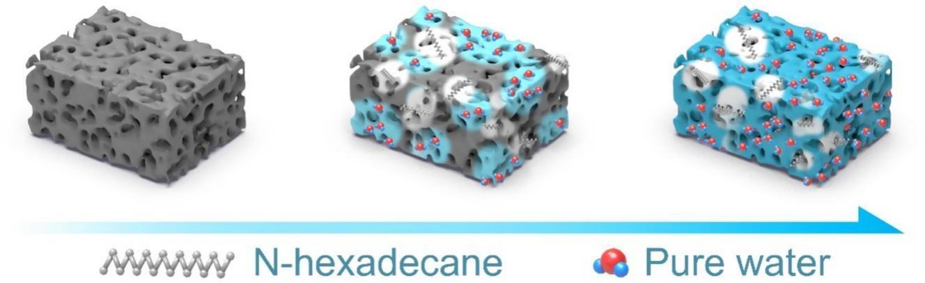 低场核磁共振技术:原位透视吸附与解吸过程的新窗口